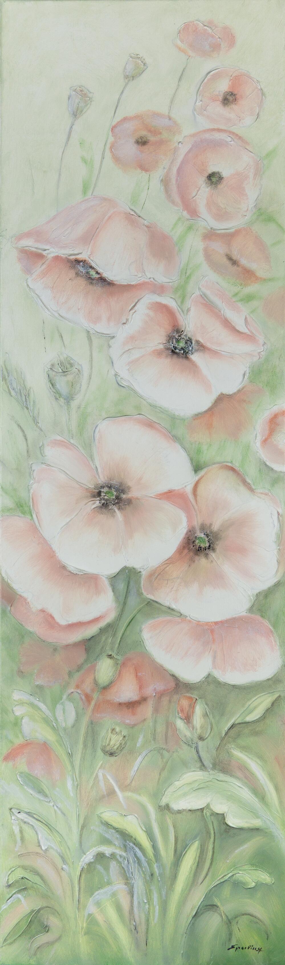Gentle Poppies in Bloom
