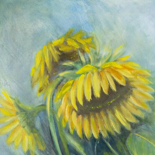 Sunflowers and Colorful Blooms