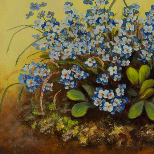 Blooming Forget-Me-Nots