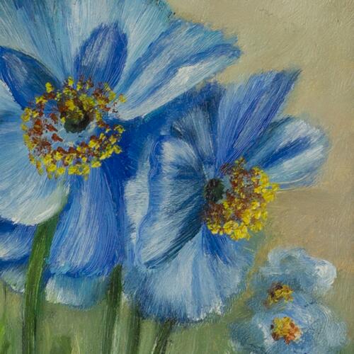 Blue Blossoms in Spring