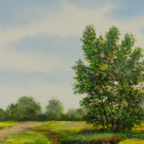 Tranquil Stream and Tree Landscape