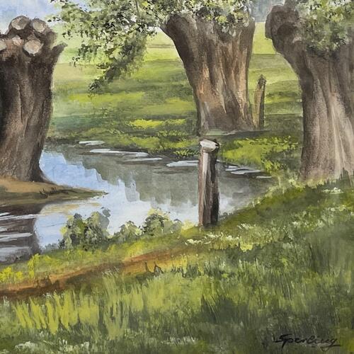 Reflections of Nature