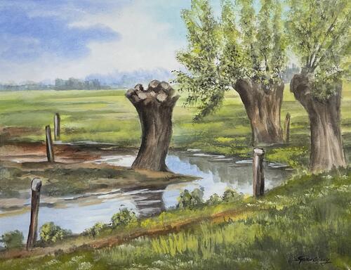 Reflections of Nature