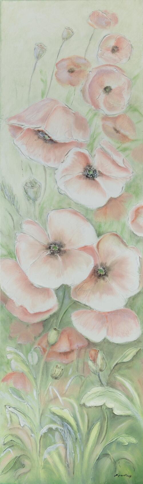 Gentle Poppies in Bloom